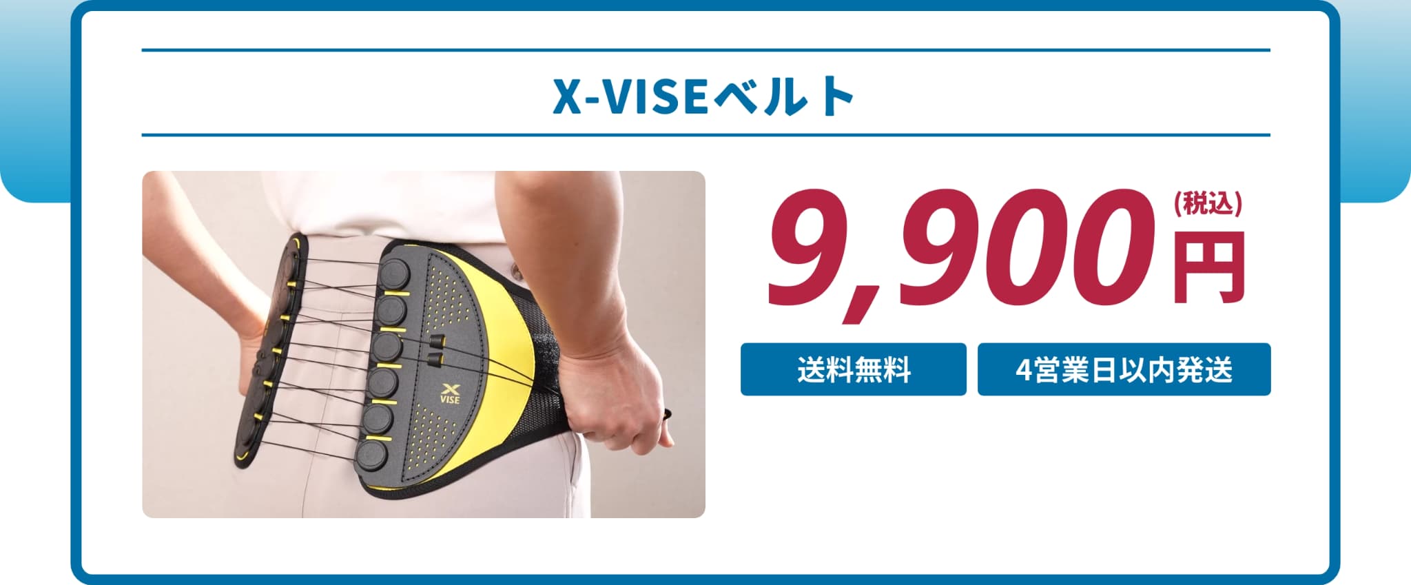 X-VISE ベルト 価格